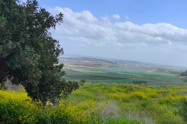 תמונה של הגליל
